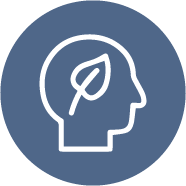 PROJ_ICO3